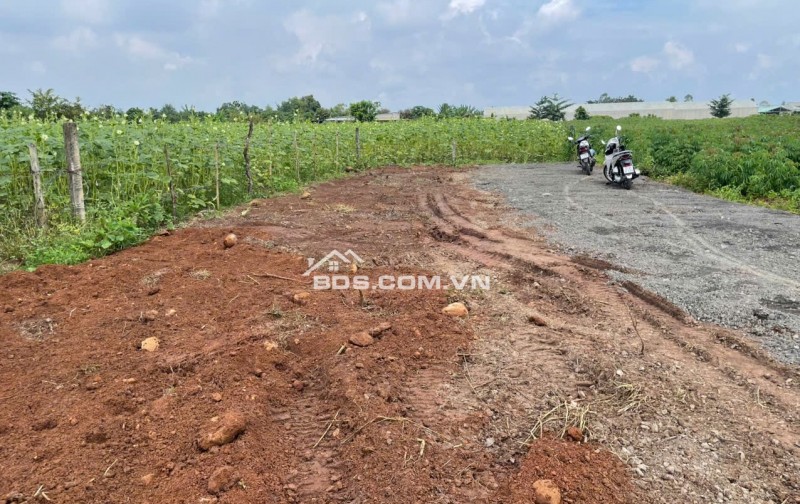 SANG NHƯỢNG BĐS GẤP TẠI THỊ TRẤN ĐÁT ĐỎ GIÁ RẺ HƠN THỊ TRƯỜNG